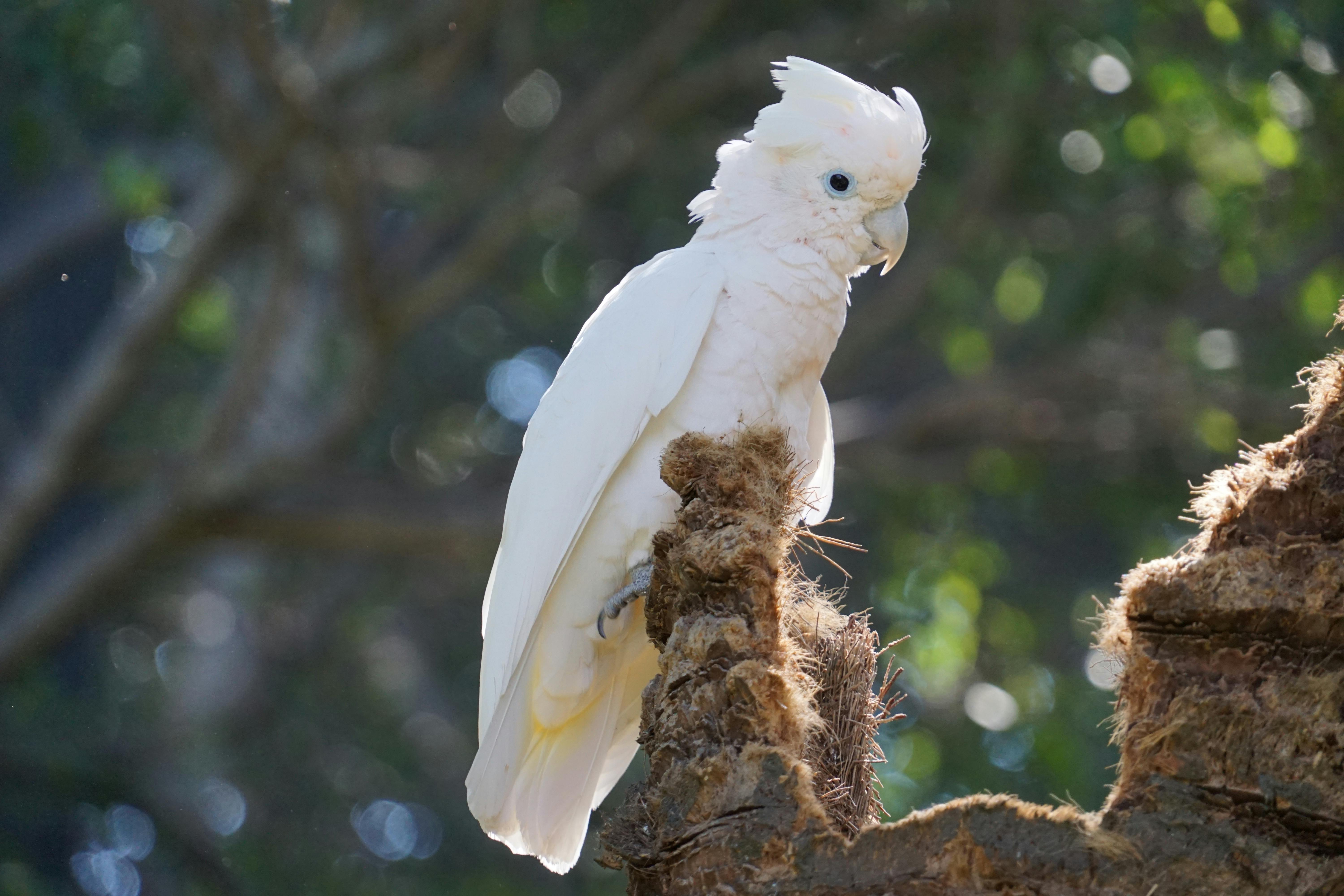 Effective Ways to Manage Balloon Belly Molly in 2025