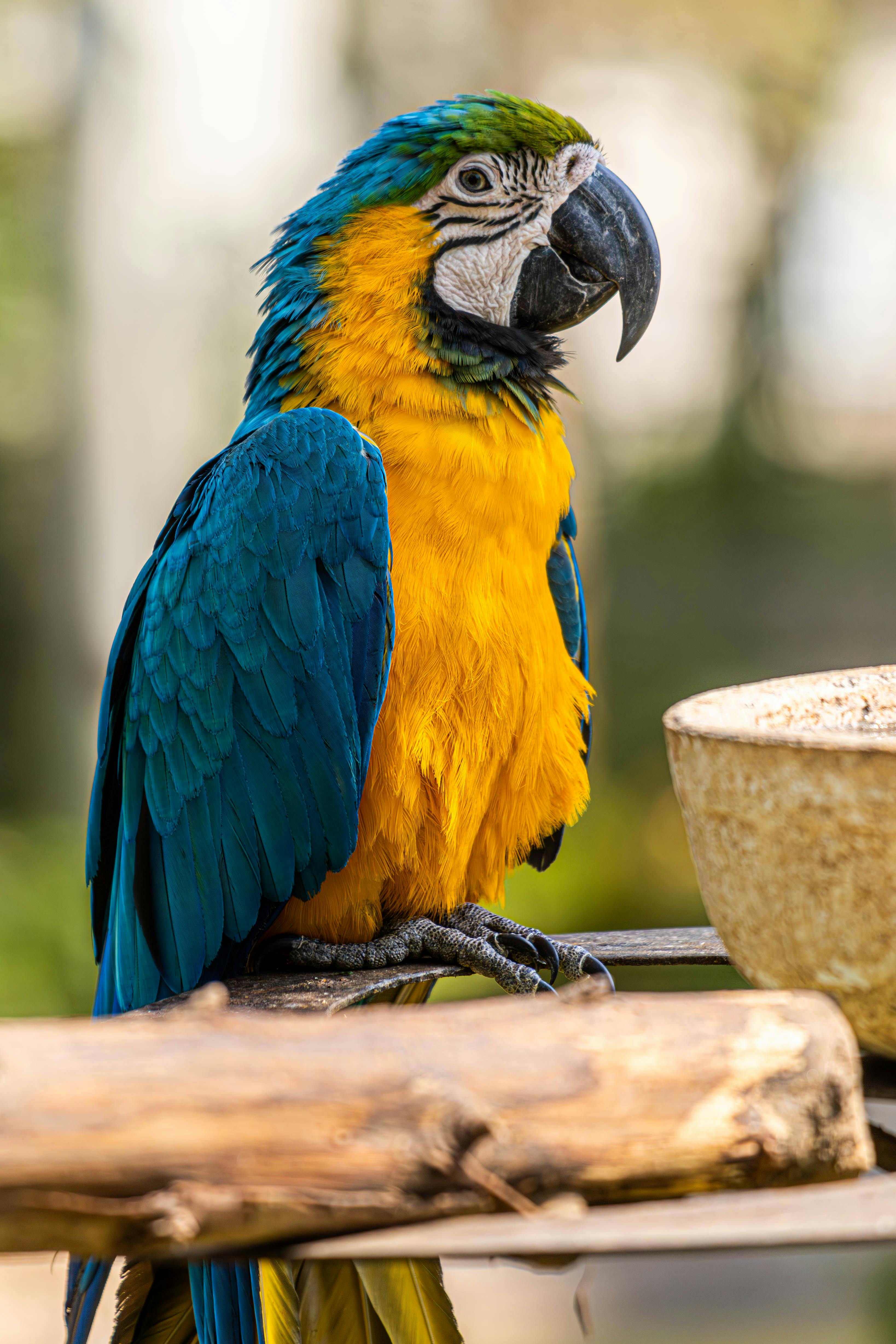 Smart Ways to Discover Colorful Tropical Fish in 2025