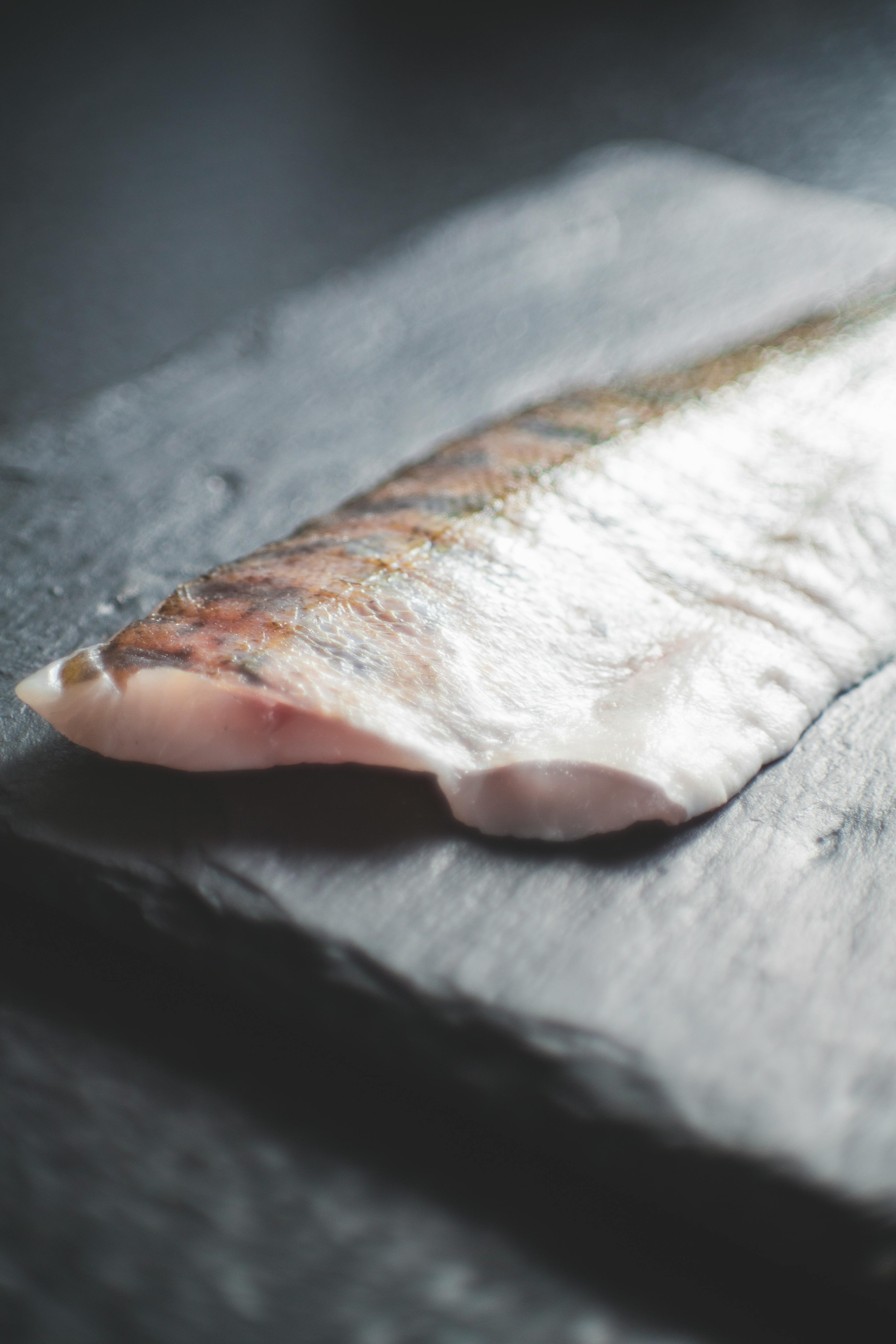 Smart Ways to Care for Neon Dwarf Gourami in 2025